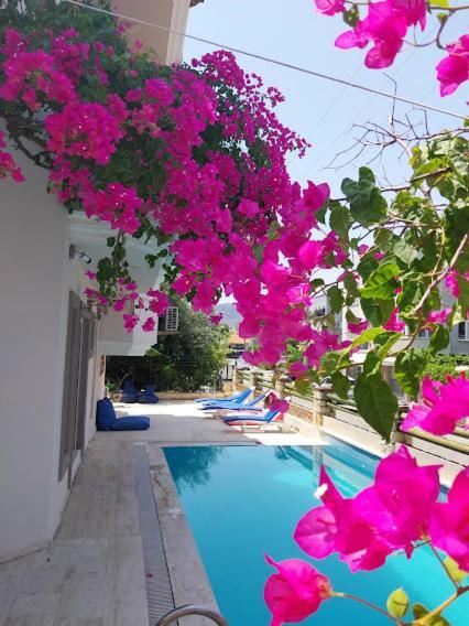 Selenya Apart Marmaris Buitenkant foto